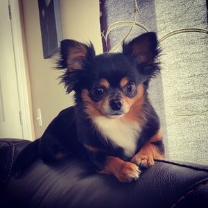 Meet your Posher, Charleen